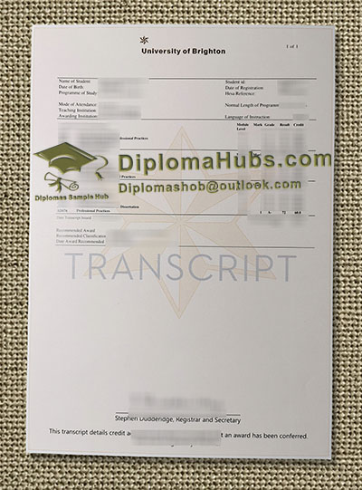 University of Brighton Transcript