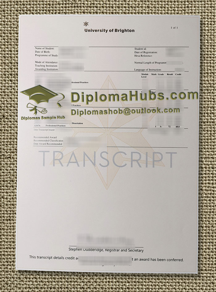 University of Brighton Transcript