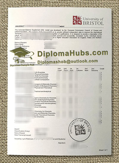 University of Bristol Transcript
