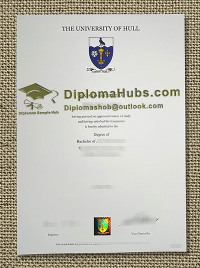 University of Hull Degree