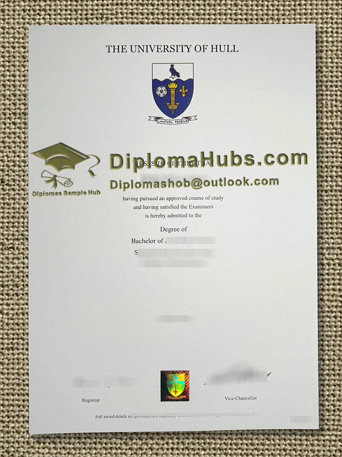 University of Hull Degree